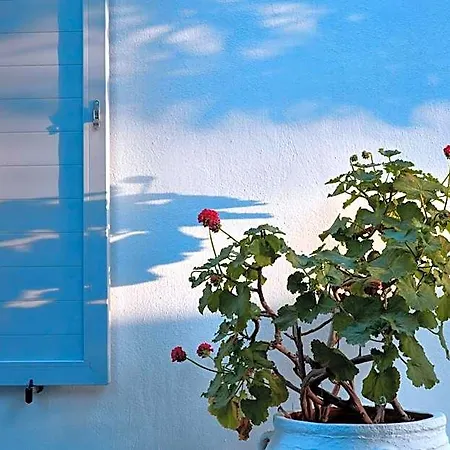Mykonos Town Μεγάλη Άμμος